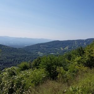 Meet your Posher, Rachelle